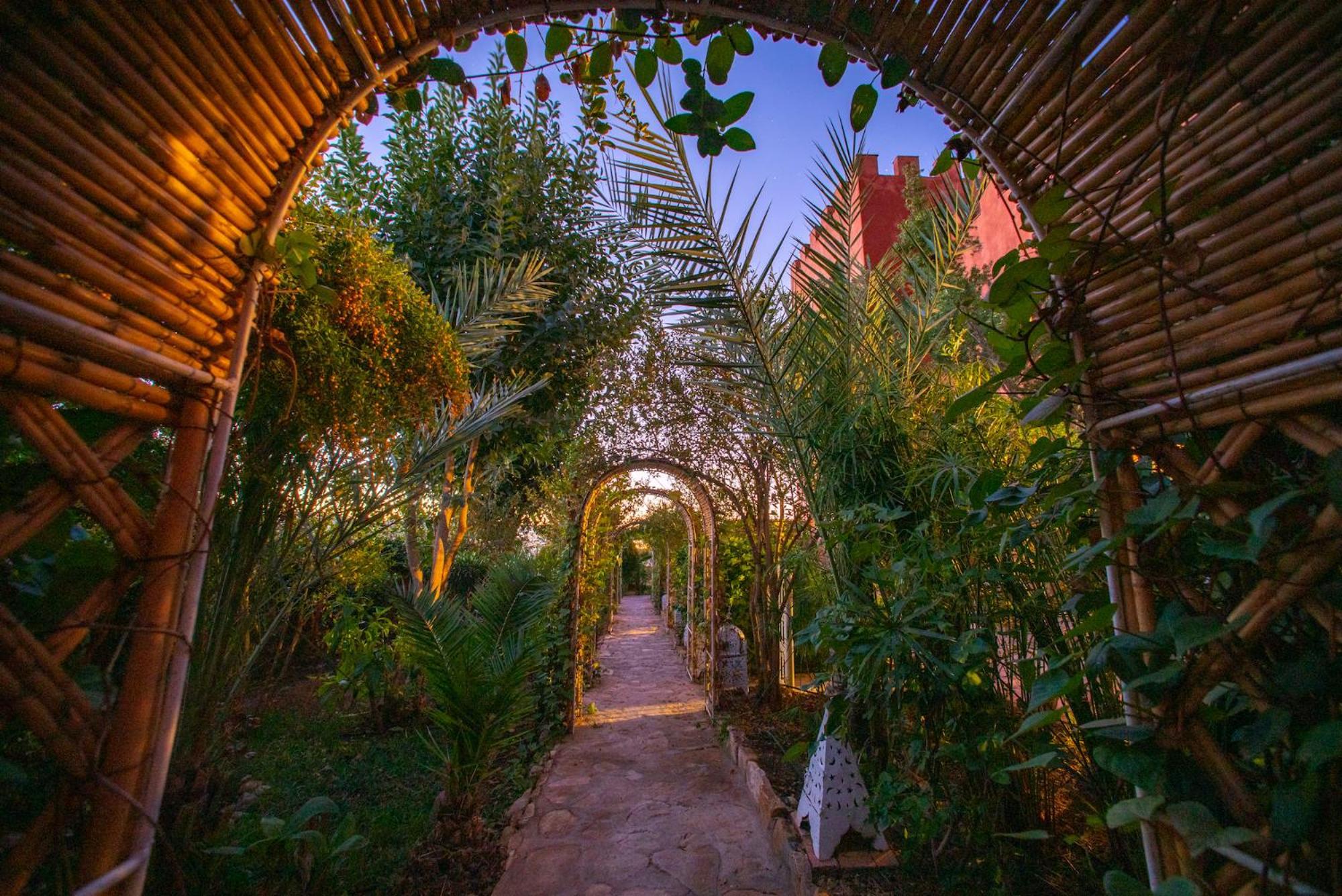Ecolodge Atlas Kasbah 아가디르 외부 사진